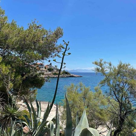 Apartments Papic Trogir Exterior foto